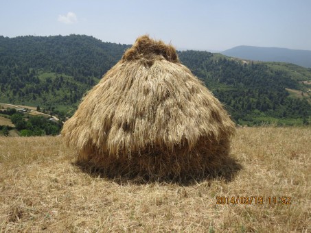 photo_2016-06-07_16-35-10