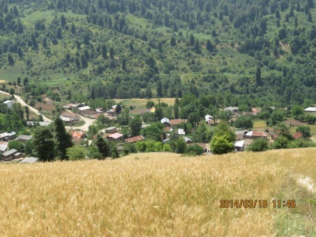 photo_2016-06-07_16-35-14