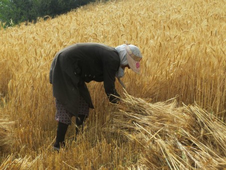 photo_2016-06-07_16-35-23