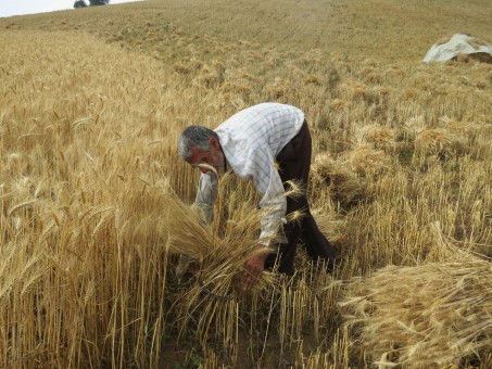 photo_2016-06-07_16-35-25