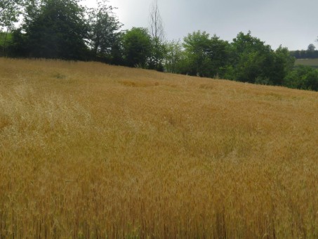 photo_2016-06-07_16-35-29