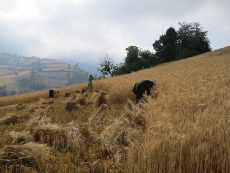 photo_2016-06-07_16-35-31