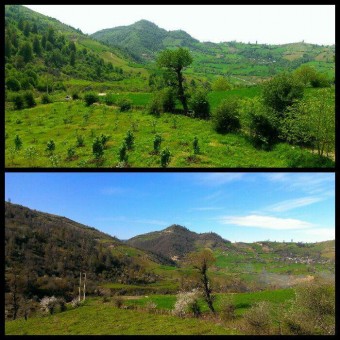 photo_2016-06-07_16-38-11