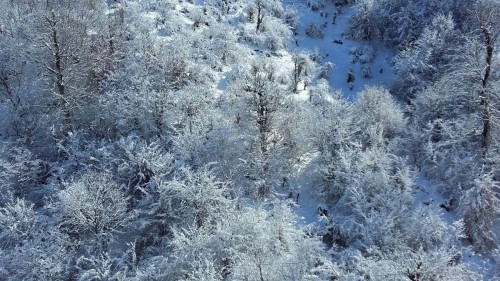 photo_2016-06-07_16-39-03
