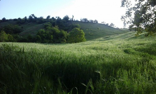 photo_2016-06-07_16-43-13