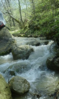 photo_2016-06-07_16-43-18