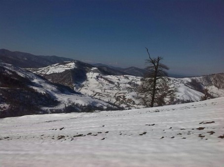 photo_2016-06-07_16-43-33