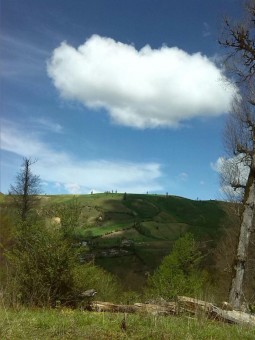 photo_2016-06-07_16-43-41