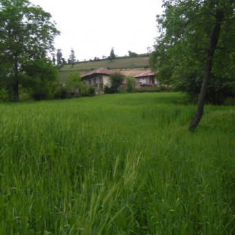 photo_2016-06-07_16-44-38