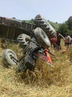 photo_2016-06-07_17-10-52