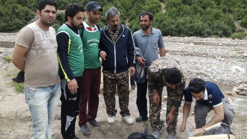 photo_2016-07-09_07-33-46