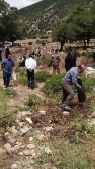 photo_2016-07-09_07-33-50