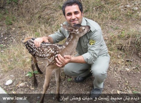 930306_titi-dodange-1