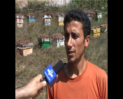 Sequence 01.Still001