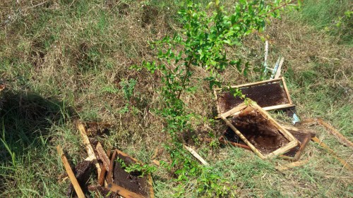 photo_2016-08-17_17-10-41