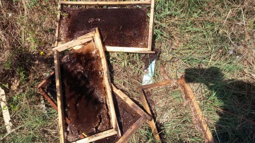 photo_2016-08-17_17-10-48