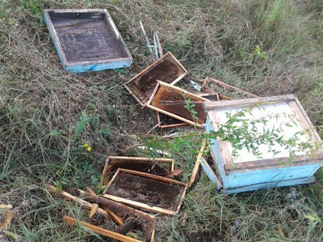 photo_2016-08-17_17-11-15