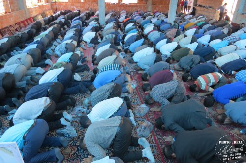 photo_2016-08-18_18-45-46