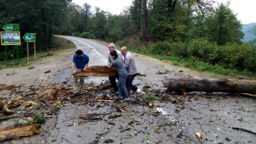 photo_2016-09-04_23-19-51