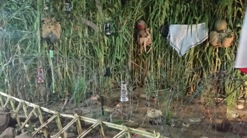 photo_2016-10-01_06-19-20