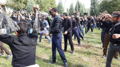 photo_2016-10-12_18-58-28