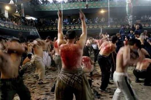 wqqqqqqqqqqqqqqqqqqqq