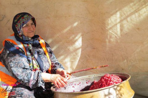 photo_2016-11-04_06-39-20