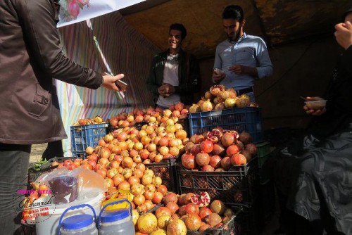 photo_2016-11-04_06-40-51