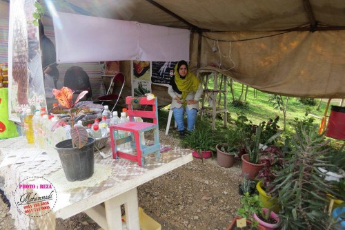 photo_2016-11-04_06-40-54