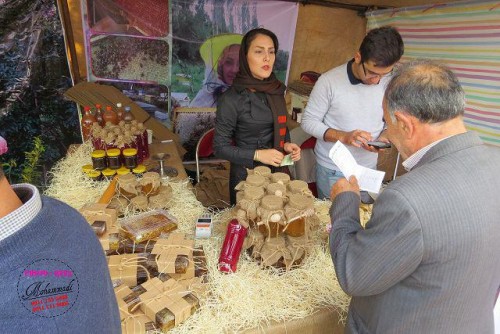 photo_2016-11-04_06-41-01