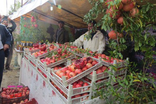 photo_2016-11-04_06-41-04