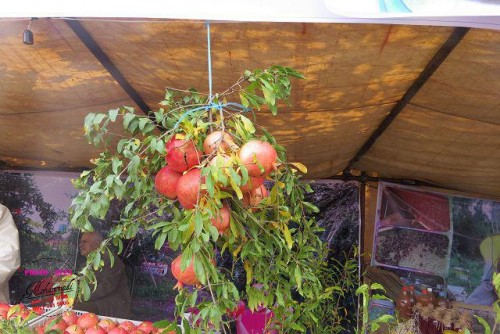 photo_2016-11-04_06-41-11