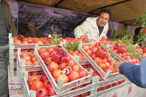 photo_2016-11-04_06-41-14