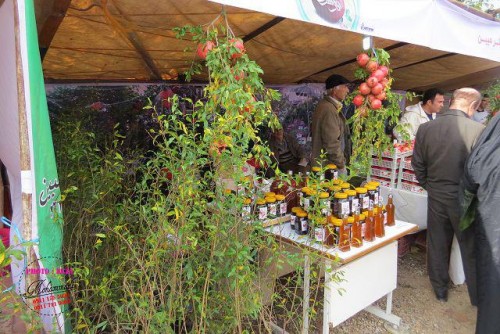 photo_2016-11-04_06-41-17