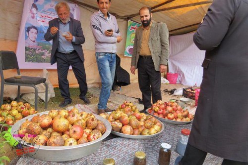 photo_2016-11-04_06-41-23