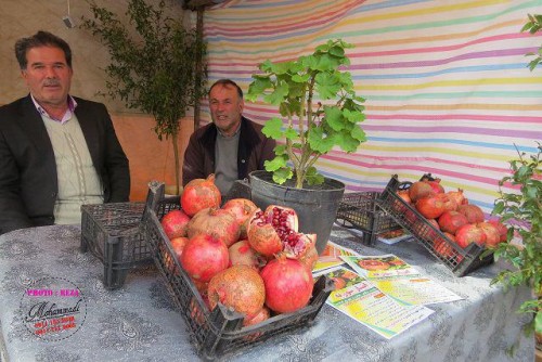 photo_2016-11-04_06-41-31