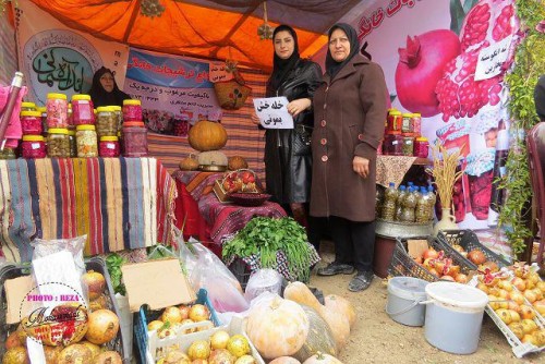 photo_2016-11-04_06-41-36