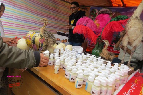 photo_2016-11-04_06-41-42