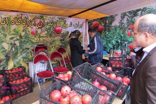 photo_2016-11-04_06-41-49