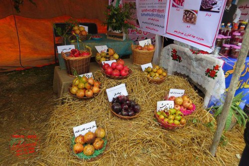 photo_2016-11-04_06-42-02