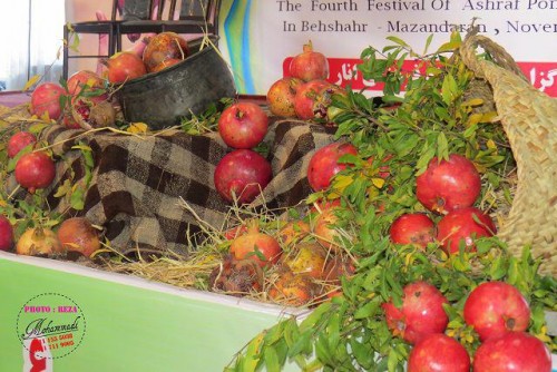 photo_2016-11-04_06-43-26