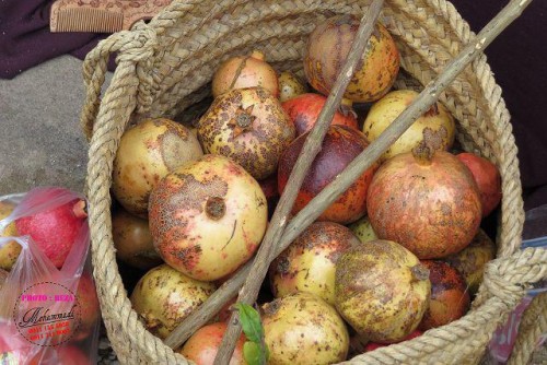 photo_2016-11-05_19-37-40