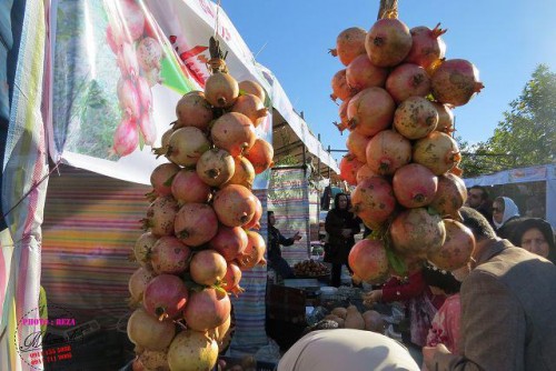 photo_2016-11-05_19-37-55