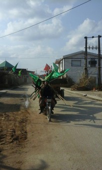 photo_2016-11-09_07-39-10