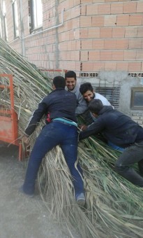 photo_2016-11-09_07-39-24