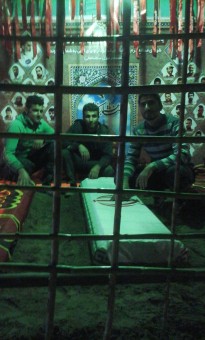 photo_2016-11-09_07-39-55