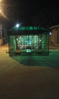 photo_2016-11-09_07-40-05