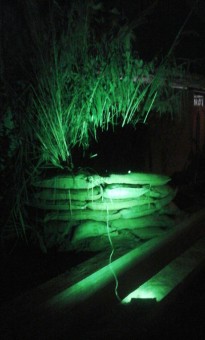 photo_2016-11-09_07-40-14