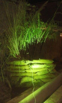 photo_2016-11-09_07-40-20