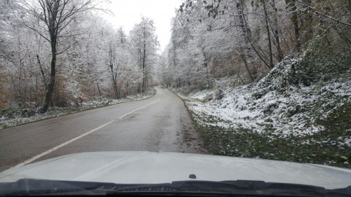 photo_2016-11-23_08-08-28